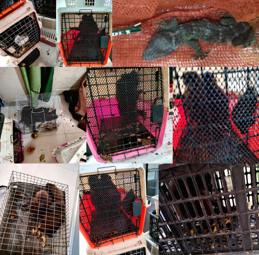 chennai airport-milirmedia