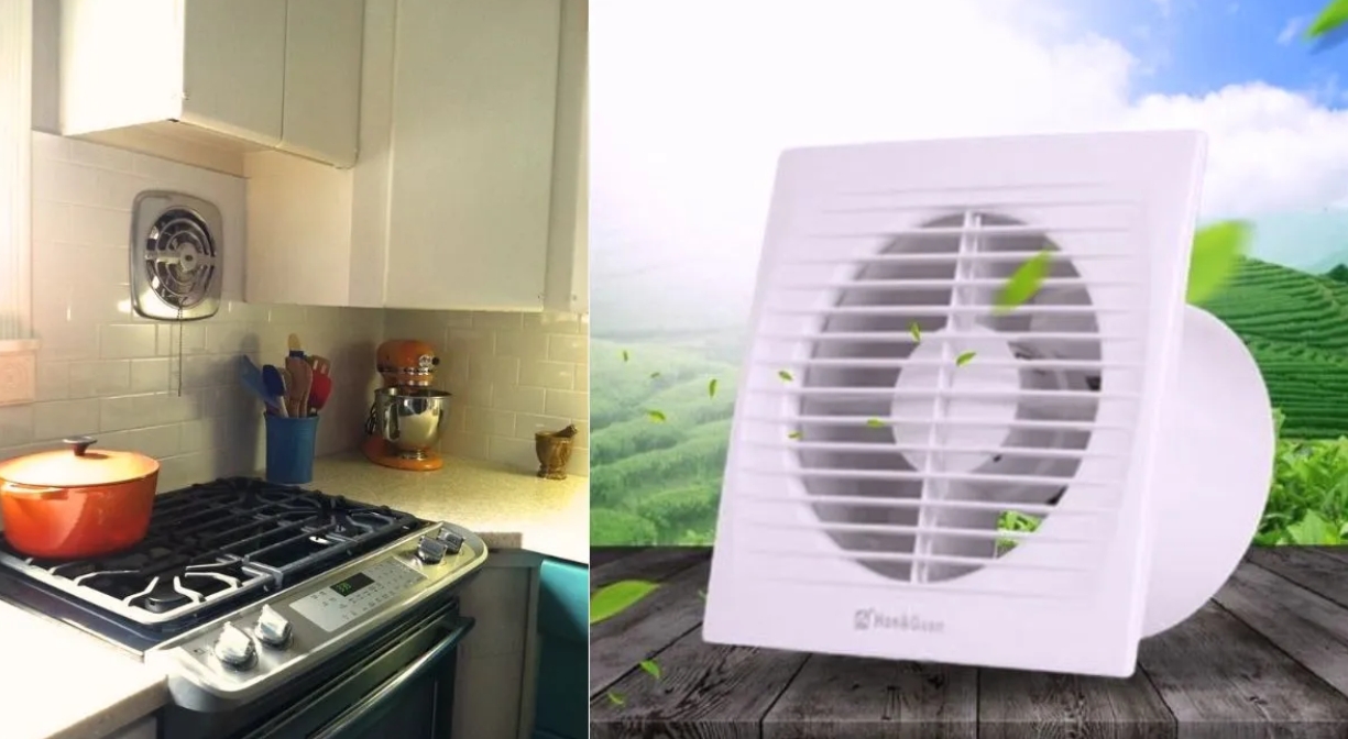 fan
